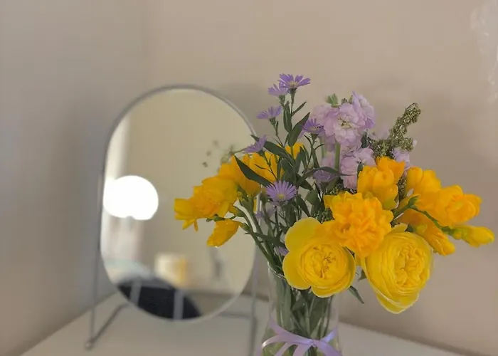 Ohhi 3 4 Beds 8-minute By Walk Appartement *