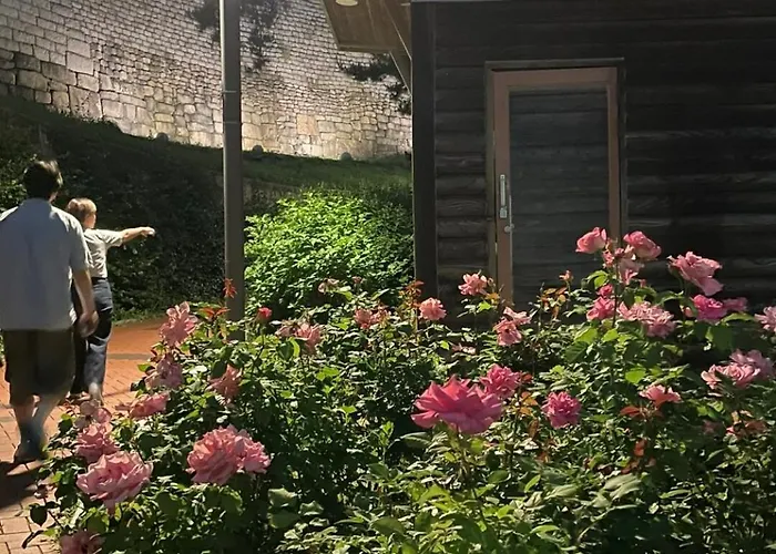 Appartement Ohhi 3 4 Beds 8-minute By Walk *